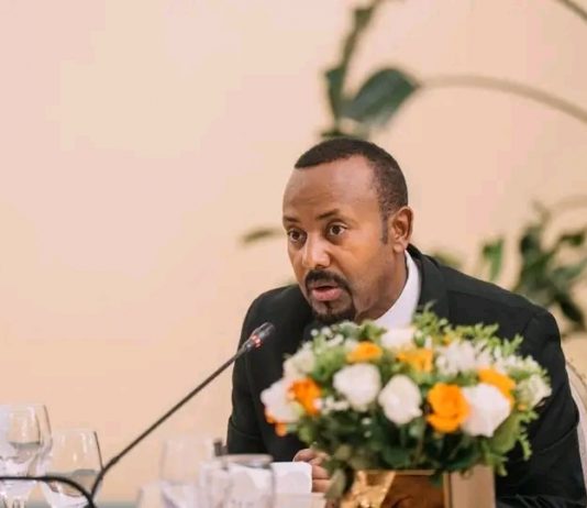 ጠቅላይ ሚኒስትር ዐቢይ አሕመድ (ዶ.ር) ከቡሩንዲ ፕሬዝዳንት ኢቫሪስቴ ንድያይሺሚዬ ጋር ተወያዩ።