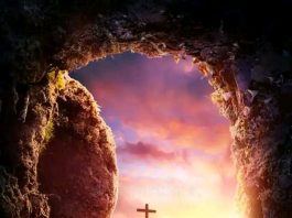 “የጨለመችው ዓለም በራች፤ ብርሃንም ለበሰች”