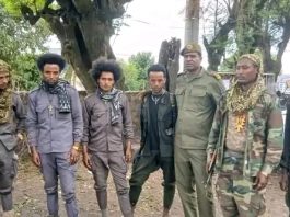 በጎንደር ከተማ ዙሪያ የጽንፈኛ ቡድኑ አባል በመኾን ታጥቀው ሲንቀሳቀሱ የነበሩ ወጣቶች ለሰላም ገቡ።