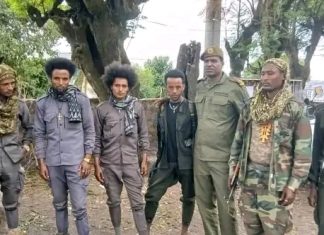 በጎንደር ከተማ ዙሪያ የጽንፈኛ ቡድኑ አባል በመኾን ታጥቀው ሲንቀሳቀሱ የነበሩ ወጣቶች ለሰላም ገቡ።