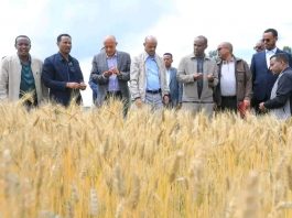 “ሀገርን የማሻገር ሥራችን ተጠናክሮ ይቀጥላል” ምክትል ጠቅላይ ሚኒስትር ተመሥገን ጥሩነህ