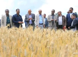 “ሀገርን የማሻገር ሥራችን ተጠናክሮ ይቀጥላል” ምክትል ጠቅላይ ሚኒስትር ተመሥገን ጥሩነህ