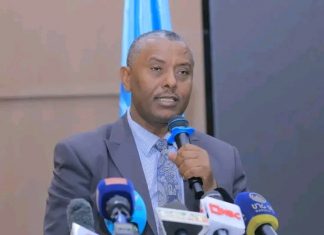 ሰው ሠራሽ አስተውሎት የትንበያ ሥራዎችን ወደ አዲስ ምዕራፍ የማሸጋገር ተስፋ ተጥሎበታል።