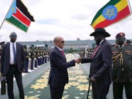 ፕሬዚዳንት ሳልቫ ኬር ማያርድት ጉብኝታቸውን አጠናቀው ተመለሱ።