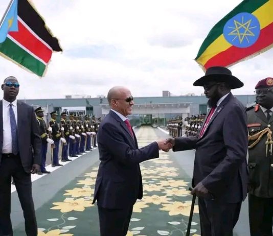 ፕሬዚዳንት ሳልቫ ኬር ማያርድት ጉብኝታቸውን አጠናቀው ተመለሱ።