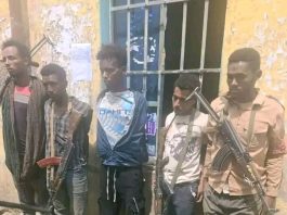 በጎንደር ከተማ ሰው ለማገት እና ለመግደል ተዘጋጅተው የነበሩ ተጠርጣሪዎች በቁጥጥር ሥር ዋሉ።