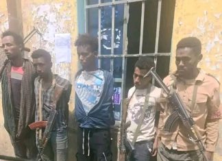 በጎንደር ከተማ ሰው ለማገት እና ለመግደል ተዘጋጅተው የነበሩ ተጠርጣሪዎች በቁጥጥር ሥር ዋሉ።