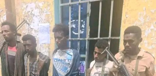 በጎንደር ከተማ ሰው ለማገት እና ለመግደል ተዘጋጅተው የነበሩ ተጠርጣሪዎች በቁጥጥር ሥር ዋሉ።