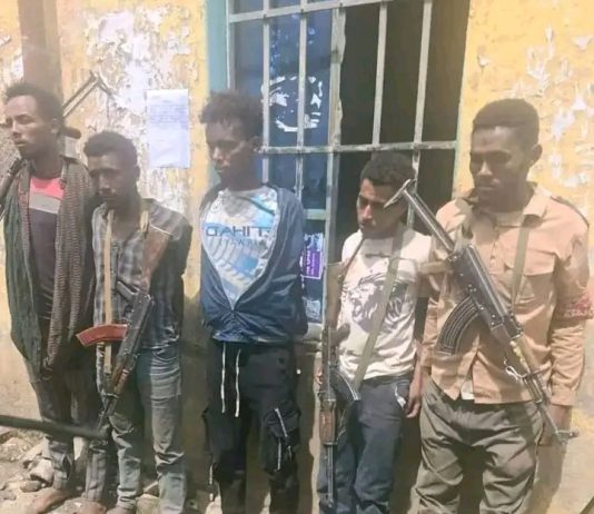 በጎንደር ከተማ ሰው ለማገት እና ለመግደል ተዘጋጅተው የነበሩ ተጠርጣሪዎች በቁጥጥር ሥር ዋሉ።