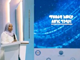 በክህሎት መር የሥራ ዕድል ፈጠራ ውጤታማ ሥራ ተሠርቷል።