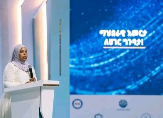 በክህሎት መር የሥራ ዕድል ፈጠራ ውጤታማ ሥራ ተሠርቷል።