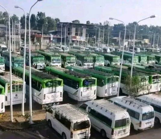 የትራንስፖርት አገልግሎት ወደ መደበኛ ሁኔታ መመለሱን የትራንስፖርት እና ሎጂስቲክ ሚኒስቴር አስታወቀ።