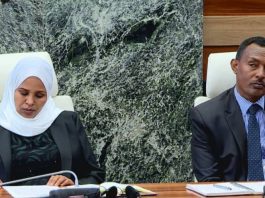 የነዳጅ አቅርቦት እና ስርጭቱን ለመቆጣጠር በቴክኖሎጂ የታገዘ የክትትል ሥርዓትን ለመዘርጋት እየተሠራ ነው።