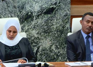 የነዳጅ አቅርቦት እና ስርጭቱን ለመቆጣጠር በቴክኖሎጂ የታገዘ የክትትል ሥርዓትን ለመዘርጋት እየተሠራ ነው።