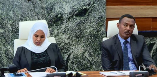 የነዳጅ አቅርቦት እና ስርጭቱን ለመቆጣጠር በቴክኖሎጂ የታገዘ የክትትል ሥርዓትን ለመዘርጋት እየተሠራ ነው።