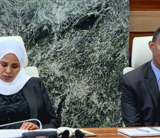 የነዳጅ አቅርቦት እና ስርጭቱን ለመቆጣጠር በቴክኖሎጂ የታገዘ የክትትል ሥርዓትን ለመዘርጋት እየተሠራ ነው።