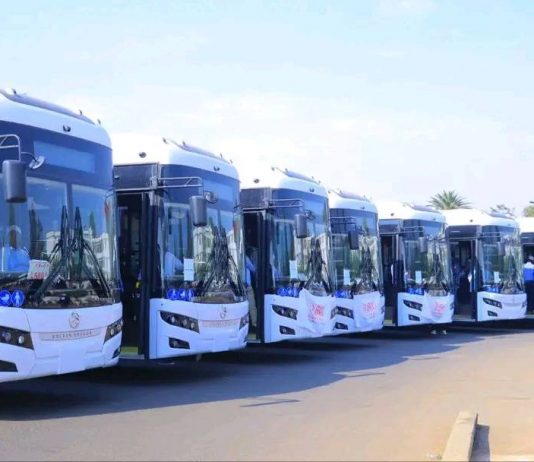 የኤሌክትሪክ ተሽከርካሪዎች ከነዳጅ ጥገኝነት ከማላቀቅ ባለፈ የድምጽ ብክነትን ያስቀራሉ።