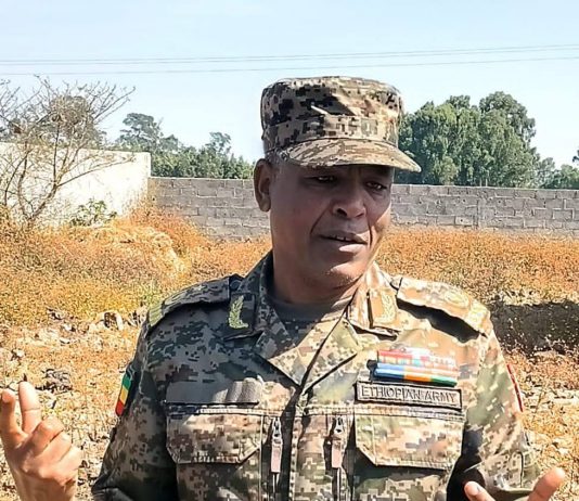 በሰሜን ጎጃም እና በደቡብ ጎንደር ዞኖች የጽንፈኛ ቡድኑ ከፍተኛ መሪዎች እና ታጣቂዎች የጥፋት ሕልም መክኗል።