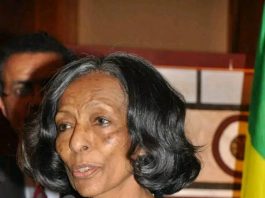 አምባሳደር ቆንጂት ሥነ ጊዮርጊስ ከዚህ ዓለም በሞት ተለዩ።