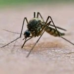 667801833_925860903692957_216062904080903241_n