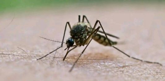 ለጥንቃቄ! የበልግ ወቅትን ተከትሎ ሊከሠቱ የሚችሉ 10 የጤና ሥጋቶች።