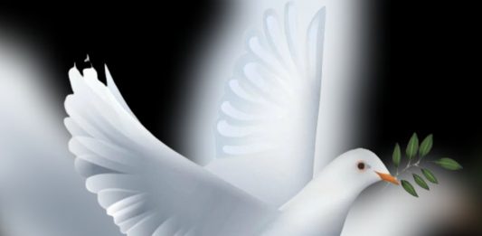 ልጅ የአባቱን ምክር አለመስማቱ ያመጣው ጣጣ