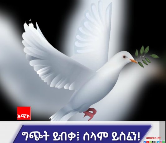 ልጅ የአባቱን ምክር አለመስማቱ ያመጣው ጣጣ