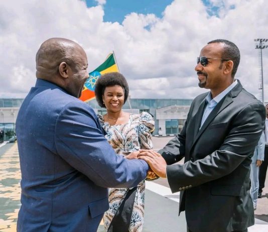 የቡሩንዲው ፕሬዝዳንት ኢቫሪስት ንዲያሺሚዬን በኢትዮጵያ የነበራቸውን ጉብኝት አጠናቀቀው ወደ ሀገራቸው ተመለሰሉ።