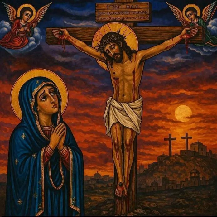 669081453_1389537663204154_9021379931245576156_n