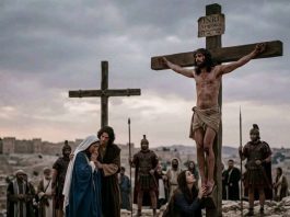 ትውልዱ እንደ ዳክረስ ልቡ የደነደነ መኾን የለበትም።