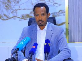 የእርድ እንስሳት ገበያን ለማረጋጋት እየተሠራ ነው።