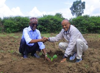 ርእሰ መሥተዳድር አረጋ ከበደ በአማራ ክልል የኦሮሞ ብሔረሰብ አሥተዳደር የሚሠሩ የልማት ሥራዎችን ተመለከቱ።