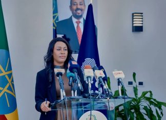 የኢሜግሬሽን እና የዜግነት አገልግሎት ከ30 ቢሊዮን ብር በላይ ገቢ መሠብሠቡን አስታወቀ።