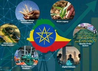 የልማት ዕቅድ ማስፈጸሚያ ኢንሼቲቮችን በመለየት መተግበር
