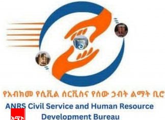 ሪፎርሙ የመንግሥት ሠራተኞችን ይቀንሳል?