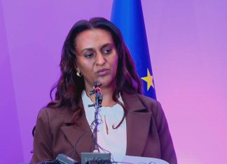 ኢትዮጵያ ያደረገችው የኢኮኖሚ ሪፎርም የውጭ ቀጥታ ኢንቨስትመንት አንዲያድግ አድርጓል።