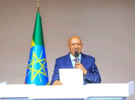 “ኢትዮጵያ ትልቅ ሀገር ናት፤ የሚገባትም ትልቅ ሥፍራ ነው” ምክትል ጠቅላይ ሚኒስትር ተመስገን ጥሩነህ