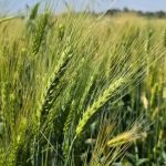 678939847_1400074932150427_8527567717604316733_n