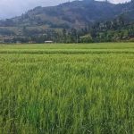 679031290_1398380195653234_5695709741831169128_n