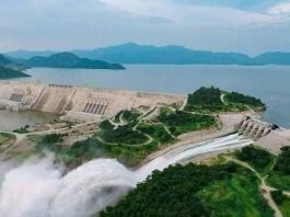 የነዳጅ ዋስትና ጊዜው አብቅቷል።