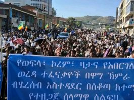 “ሰላማችንን እናጸናለን፤ ጥላቻን እናወግዛለን” የወፍላ፣ ኮረም እና ዛታ ሠልፈኞች