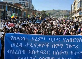 “ሰላማችንን እናጸናለን፤ ጥላቻን እናወግዛለን” የወፍላ፣ ኮረም እና ዛታ ሠልፈኞች