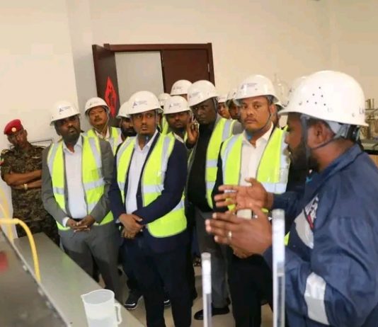 የለሚ ናሽናል ሲሚንቶ ፋብሪካ ገበያን በማረጋጋት ረገድ ጉልህ ሚና እየተጫወተ ነው።