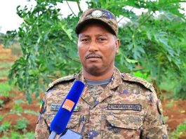 ብርሸለቆ – የጀግኖች መፍለቂያ፤ የልማት አርበኝነትም ምልክት!