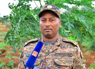 ብርሸለቆ – የጀግኖች መፍለቂያ፤ የልማት አርበኝነትም ምልክት!