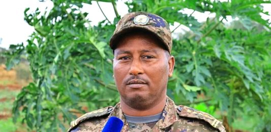 ብርሸለቆ – የጀግኖች መፍለቂያ፤ የልማት አርበኝነትም ምልክት!
