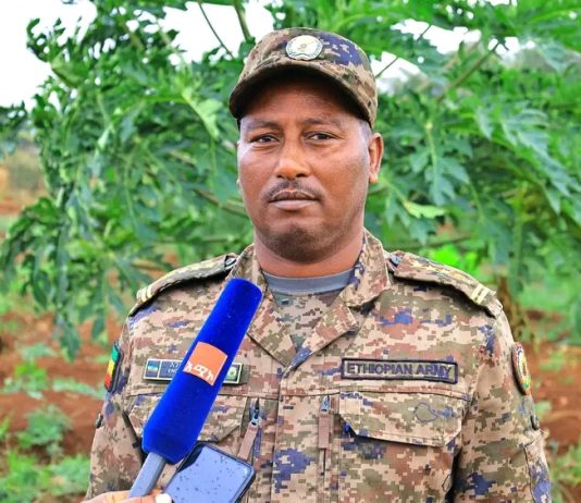 ብርሸለቆ – የጀግኖች መፍለቂያ፤ የልማት አርበኝነትም ምልክት!