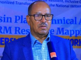 በዓባይ ተፋሰስ (ቤዚን) ላይ የሚሠሩ ሥራዎችን በቅንጅት መሥራት ይገባል።