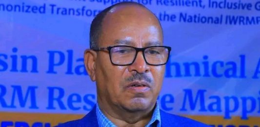 በዓባይ ተፋሰስ (ቤዚን) ላይ የሚሠሩ ሥራዎችን በቅንጅት መሥራት ይገባል።