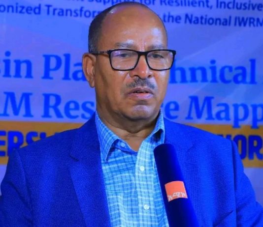 በዓባይ ተፋሰስ (ቤዚን) ላይ የሚሠሩ ሥራዎችን በቅንጅት መሥራት ይገባል።